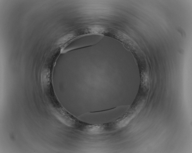 X0000110700356200906121338