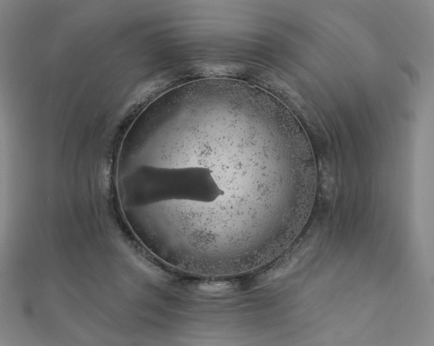 X0000110700357200906121338