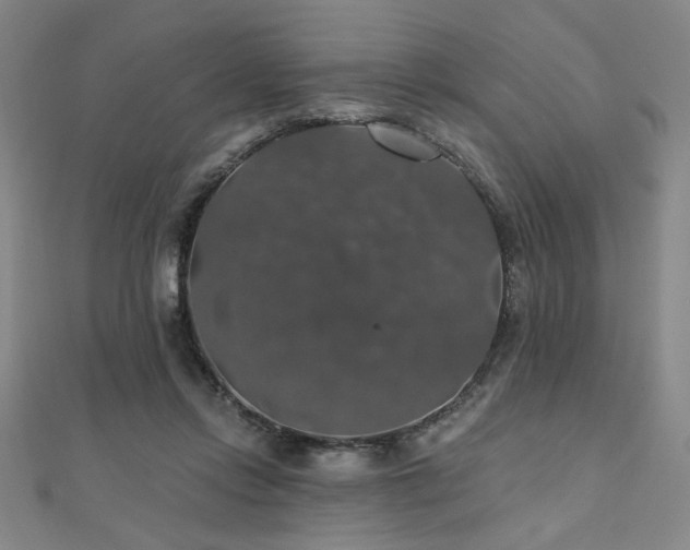X0000110700358200906121338