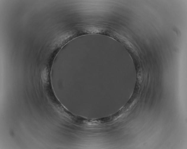 X0000110700359200906121338