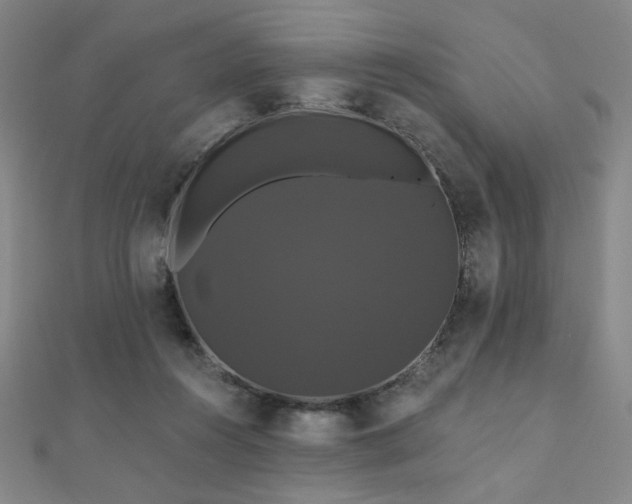 X0000110700360200906121338