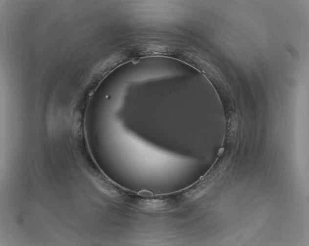 X0000110700361200906121339