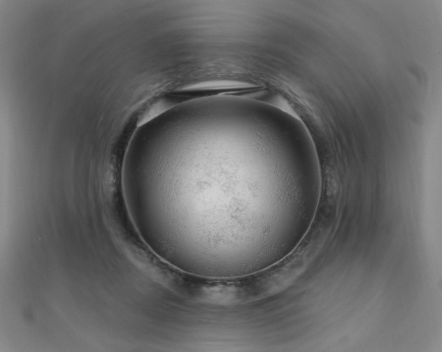 X0000110700362200906121339