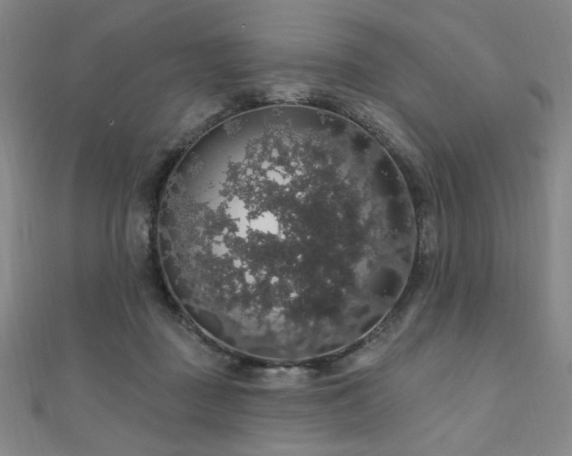 X0000110700363200906121339