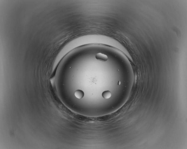 X0000110700364200906121339