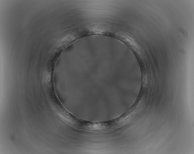 X0000110700365200906121339