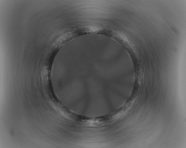 X0000110700366200906121339