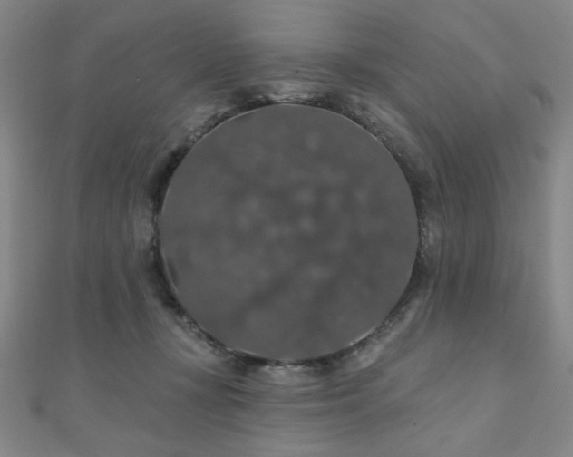 X0000110700367200906121339