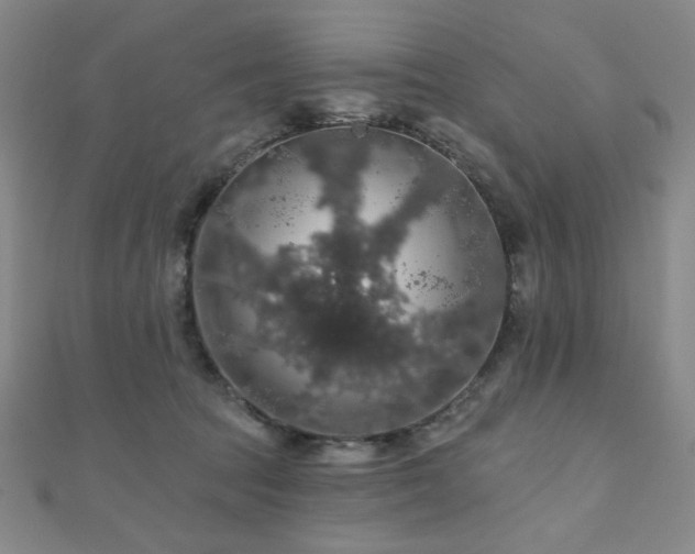 X0000110700369200906121339