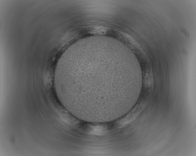 X0000110700370200906121339
