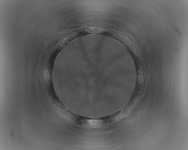 X0000110700371200906121339