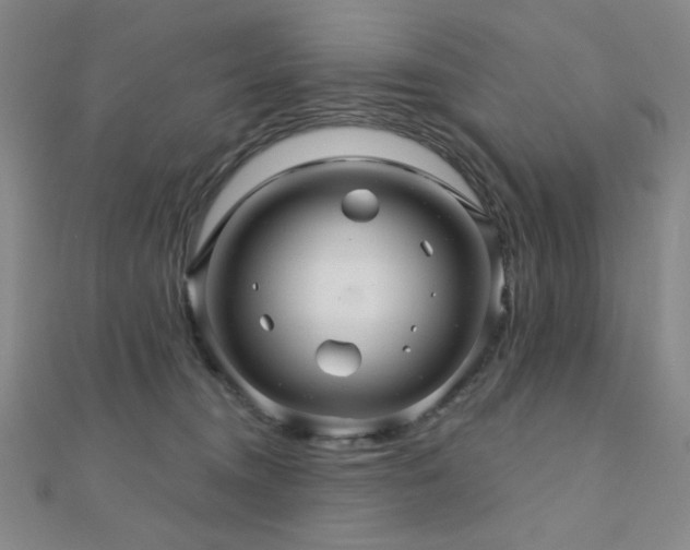 X0000110700372200906121339