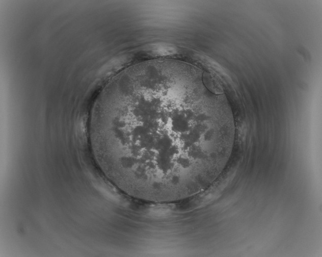 X0000110700373200906121339