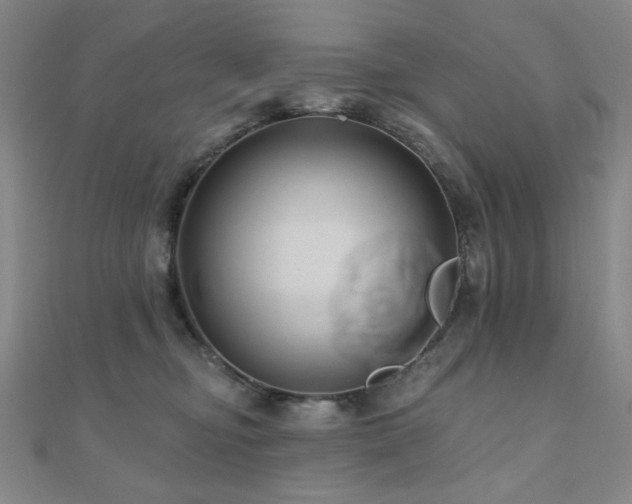 X0000110700374200906121339