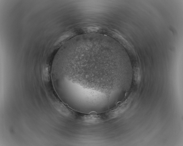 X0000110700378200906121339