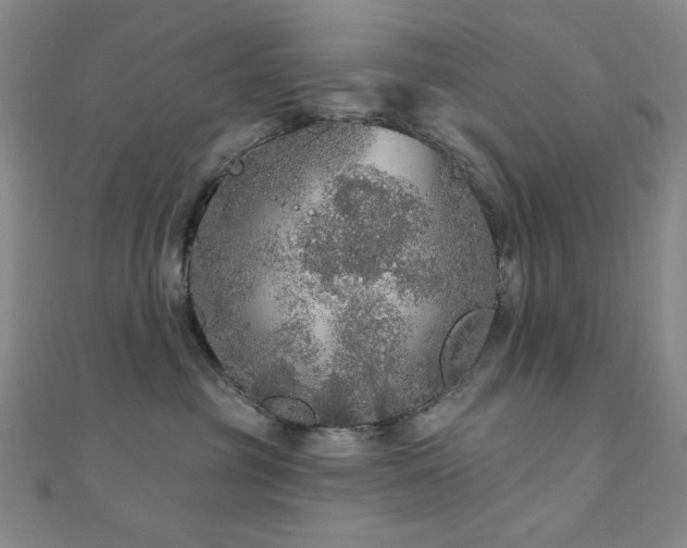 X0000110700381200906121339