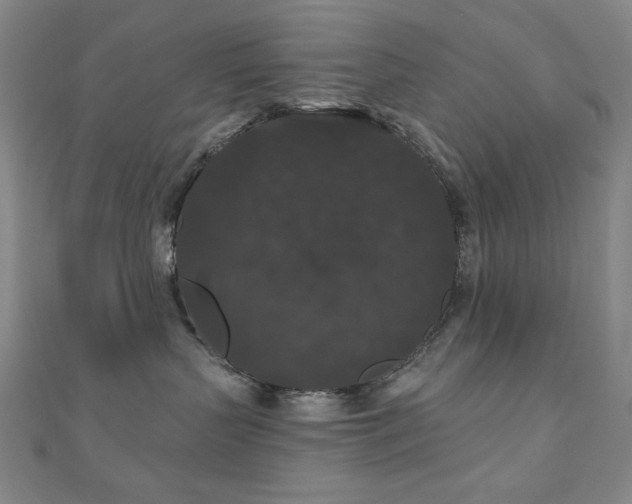 X0000110700383200906121339