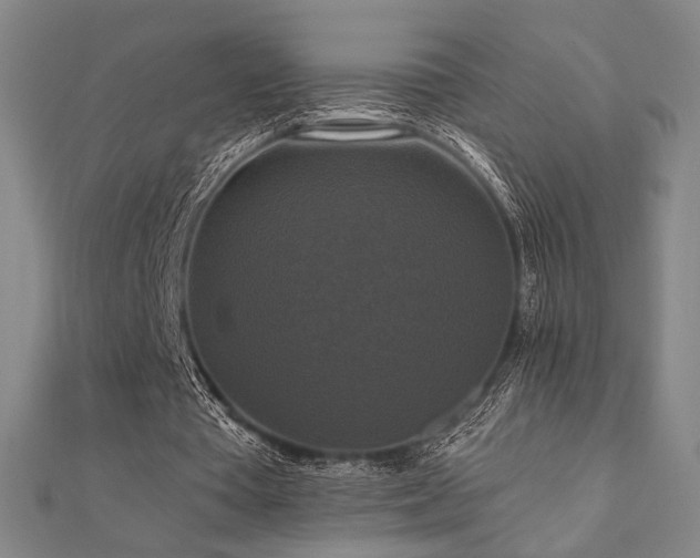 X0000110700385200906121338