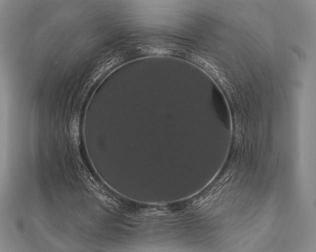 X0000110700386200906121338