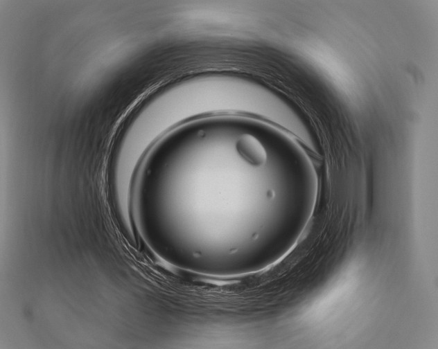 X0000110700387200906121338