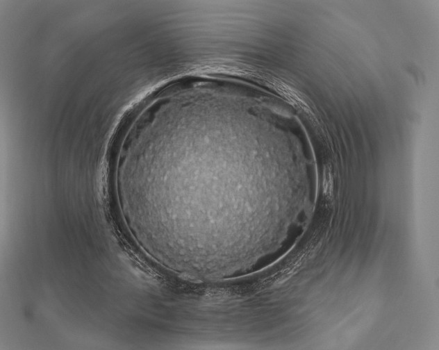X0000110700388200906121338