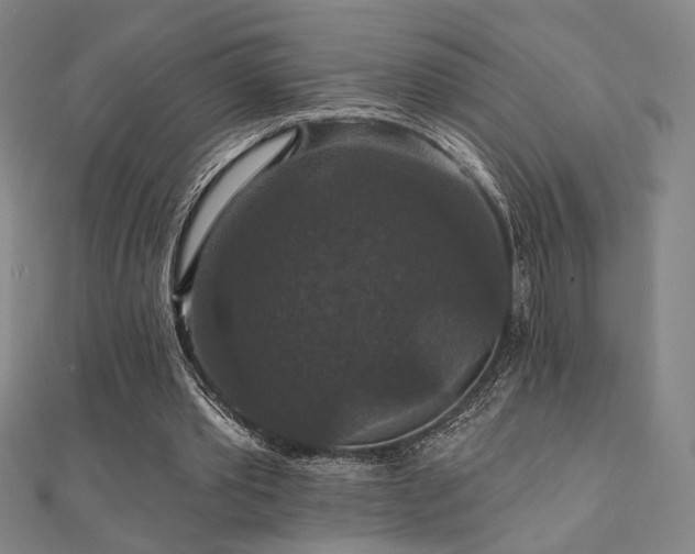 X0000110700389200906121338