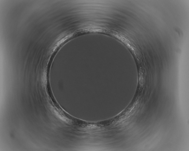 X0000110700390200906121338