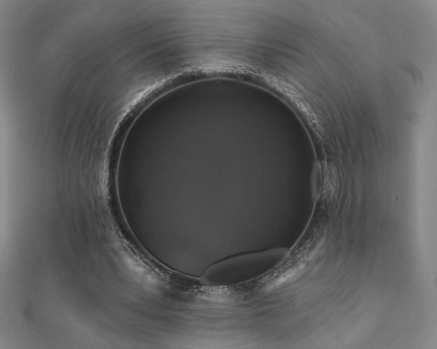 X0000110700391200906121338