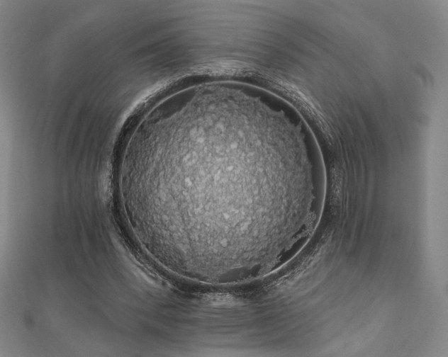 X0000110700392200906121338