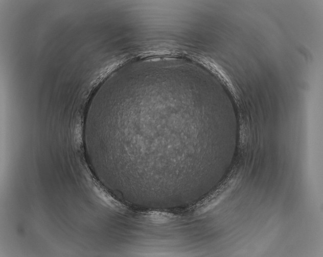 X0000110700393200906121338