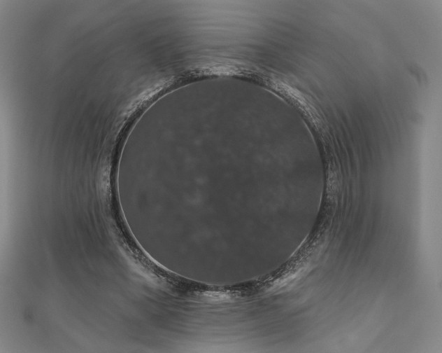 X0000110700394200906121338