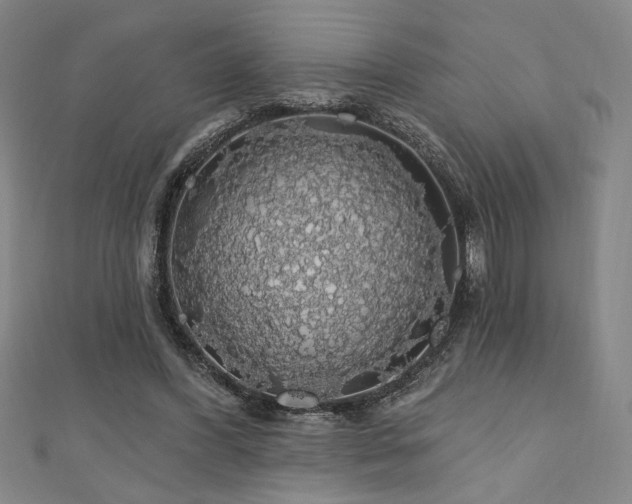 X0000110700396200906121338