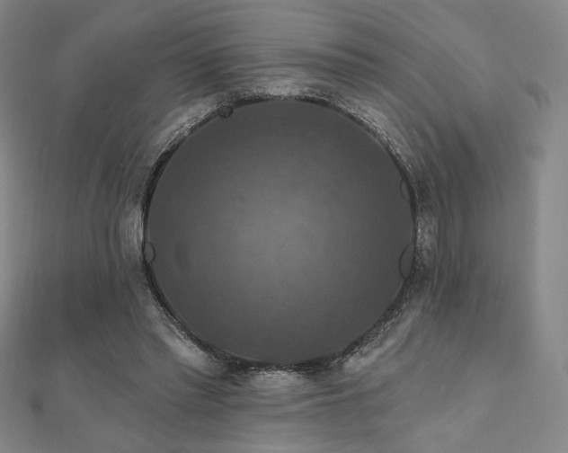 X0000110700397200906121338