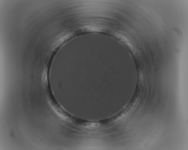X0000110700398200906121338