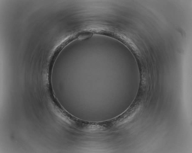 X0000110700399200906121338
