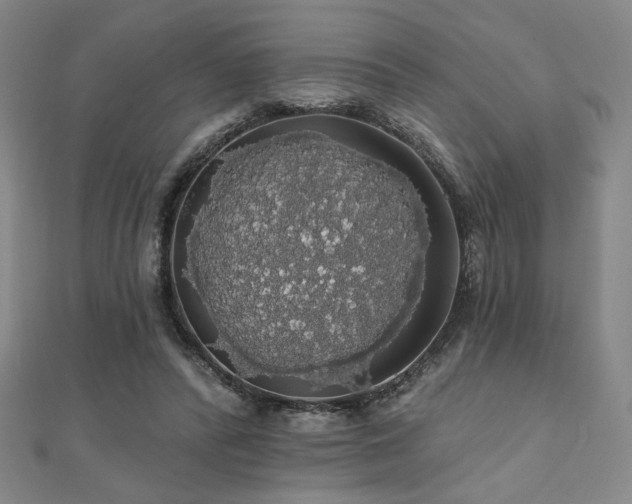 X0000110700400200906121338