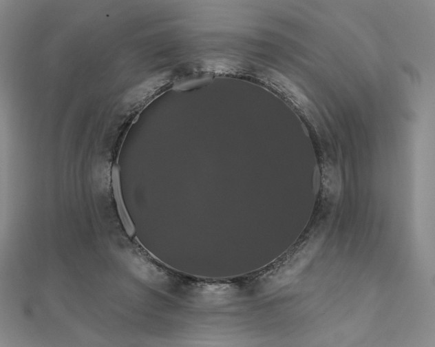X0000110700401200906121338