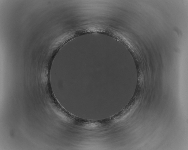 X0000110700402200906121338