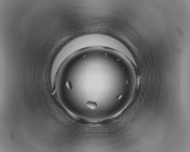 X0000110700403200906121338