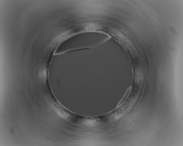 X0000110700405200906121338