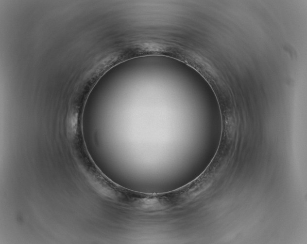 X0000110700406200906121338