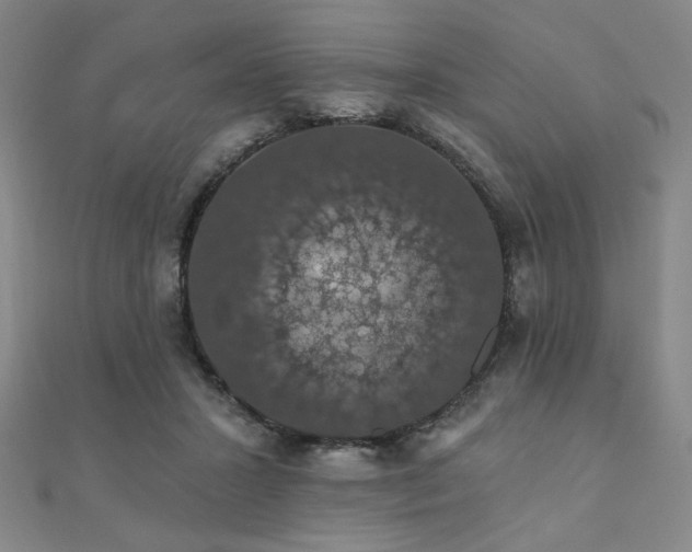 X0000110700407200906121338