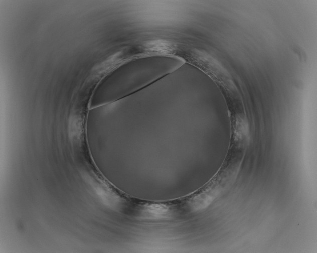 X0000110700409200906121338
