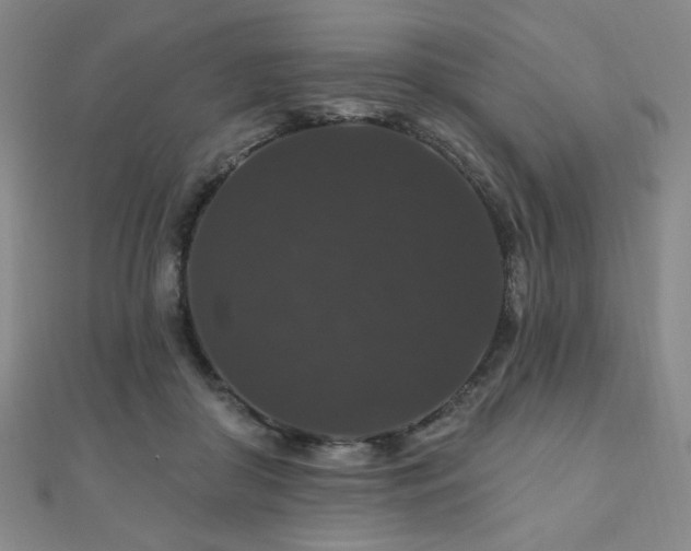 X0000110700410200906121338