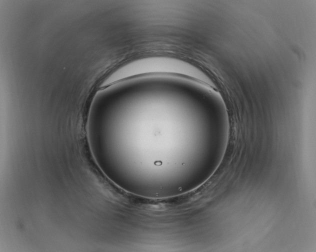 X0000110700411200906121338