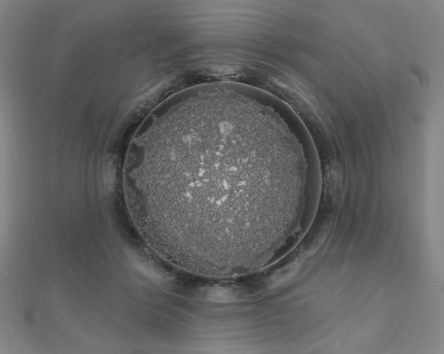 X0000110700412200906121338