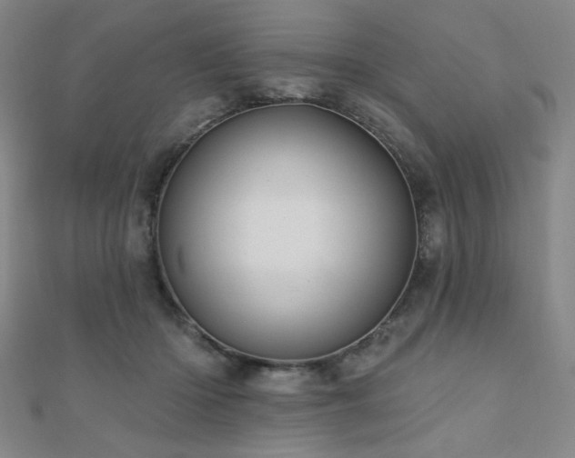 X0000110700414200906121338