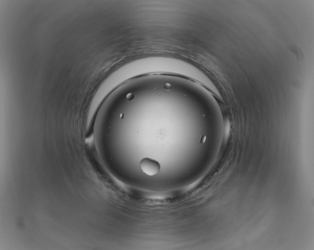 X0000110700415200906121338