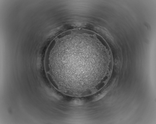 X0000110700416200906121338