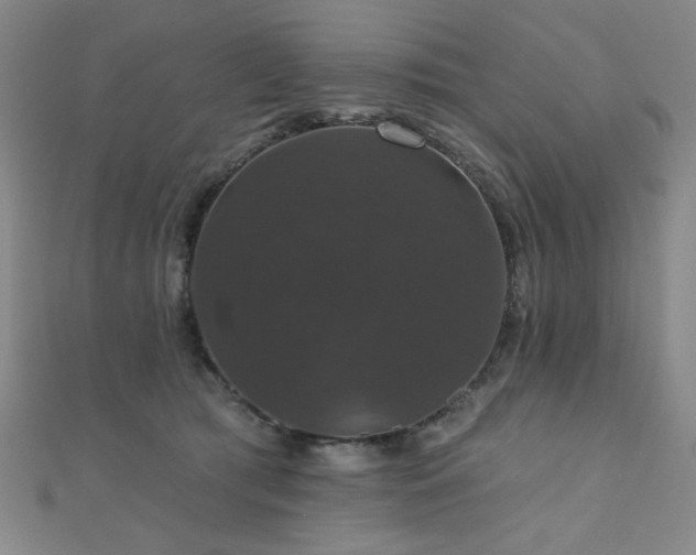 X0000110700417200906121338